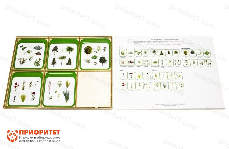 Комплект карточек Монтессори «Растения по природным зонам»