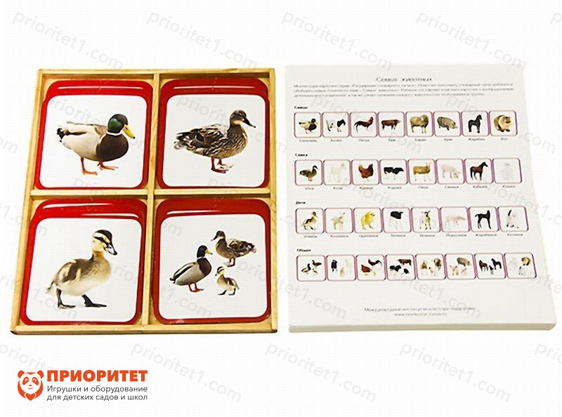Комплект карточек Монтессори «Семья животных»