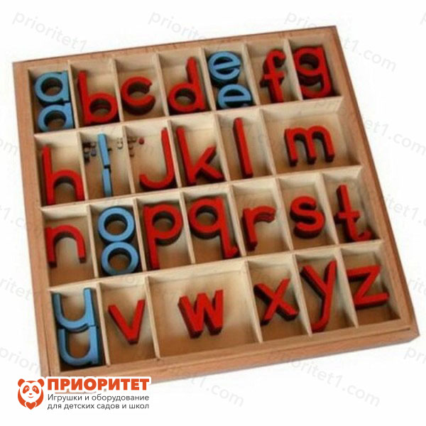 Игровой набор Монтессори «Английский подвижный алфавит. Печатные»