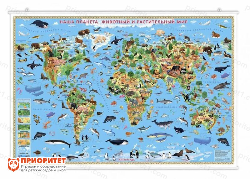 Настенная карта на рейках «Наша планета. Животный и растительный мир» 124x80 см
