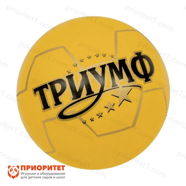 Мяч «Триумф» (диаметр 20 см) в пакете