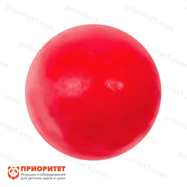 Мяч «Радуга» (диаметр 23 см) в сетке